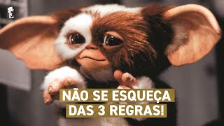 Gremlins cuide muito bem dos seus animais de estimação é sério [upl. by Norok]