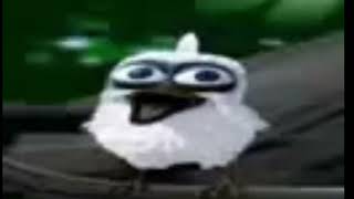 screaming bird but its from walmart clip [upl. by Malilliw393]