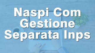 NASPI COM GESTIONE SEPARATA INPS  Aggiornamento 2023 [upl. by Kelley]