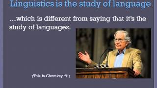 Introduction to Linguistics [upl. by Bik]