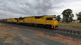 ACD6050 amp ACD6046 Nelungaloo NSW Sat 02nd Mar 2024 [upl. by Jenesia481]