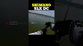 Sound Shimano SLX DC 151 XG shimanoslxdc shimano [upl. by Oiramel]