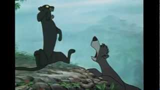 Baloo Shouts Bagheera  Baloo crie Bagheera [upl. by Raamal]