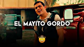 Grupo Arriesgado  El Mayito Gordo Corridos 2023 [upl. by Winer452]