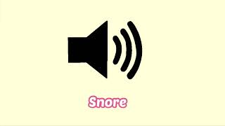 Snore Sound Effect [upl. by Gnahc232]