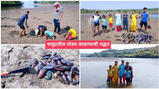 समुद्रकिनाऱ्यावरील तोडय कशा काढायच्या  तोडय म्हणजे काय koknatilmasemari konkanfishing [upl. by Un]