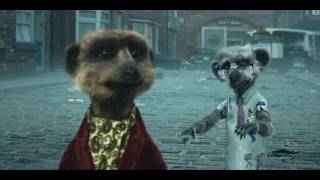 Compare the Market  Meerkat Movies  Coronation Street 2015 UK [upl. by Idolem]