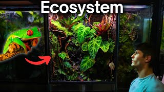 I Made a Jungle Terrarium For a Tiny Frog Here’s How [upl. by Kcub]