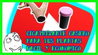 🌱como hacer PASTA CICATRIZANTE para PLANTAS MUY FACIL CASERA Y ECOLOGICA🍃 [upl. by Tews]