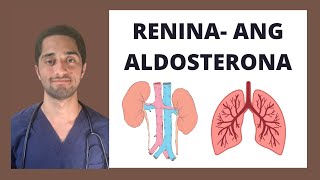 SISTEMA RENINA ANGIOTENSINA ALDOSTERONA  CARDIOLOGÍA [upl. by Leund]