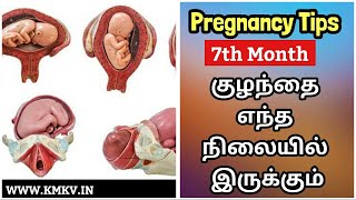 7 Month Pregnancy Baby Position In Tamil Baby Weight Baby Movement [upl. by Noitna799]