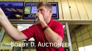 Bobby D Auto Auctioneer Fast and Smooth  Be a fast auctioneer today [upl. by Ettinger917]