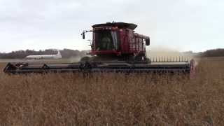 Combines Harvesting Soybeans [upl. by Bausch288]