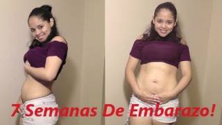 7 Semanas De Embarazo  2 meses de embarazo  Pregnant Belly 7 Weeks [upl. by Dracir]