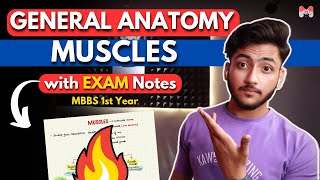 General Anatomy  Muscles  MBBS 1st Year  Full Explanation With Exam Notes  MBBS World [upl. by Michaelina]