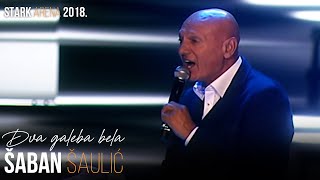 Saban Saulic  Dva galeba bela STARK ARENA 2018 [upl. by Rosella]