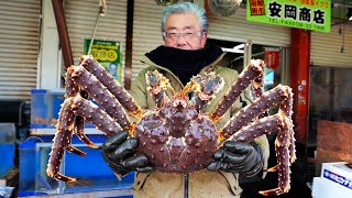 Japanese Street Food  GIANT ALASKAN KING CRAB Sashimi Hakodate Hokkaido Seafood Japan [upl. by Kinelski]