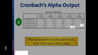 Reliability test Interpret Cronbachs alpha output in SPSS [upl. by Danzig]