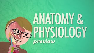 Crash Course Anatomy amp Physiology Preview [upl. by Charleen]