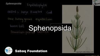 Sphenosida Biology Lecture  Sabaqpk [upl. by Toh]