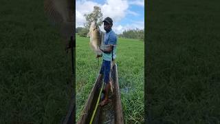 Fish archer man ☝️Full video [upl. by Rennat]