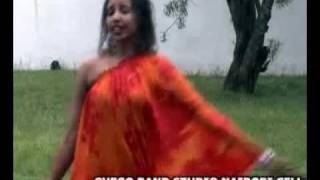 Sagal Arts Heestii GUDI New Video 2011flv [upl. by Allecnirp]