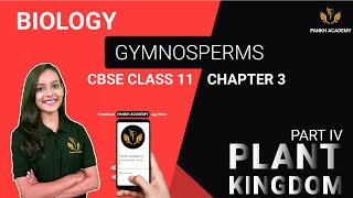 Gymnosperms Class 11 Biology Chapter 3  Plant Kingdom  Pankh Academy Part 4 [upl. by Alaine674]