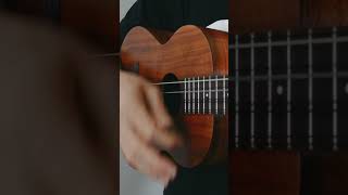 Kamaka HF48 8String Baritone Ukulele Cover [upl. by Gombosi]