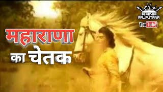 Maharana Pratap’s Brave Horse Chetak A Tale of Heroism” shorts history reels [upl. by Consalve388]