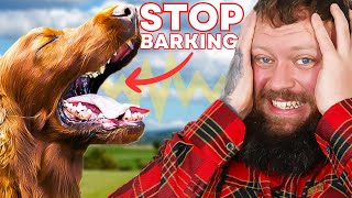 How To Stop Your Dog Barking  You Can Do This Right Now [upl. by Heywood]