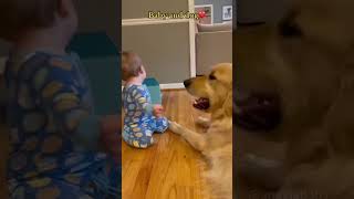 Dogs and babies part 3 [upl. by Lorrie]