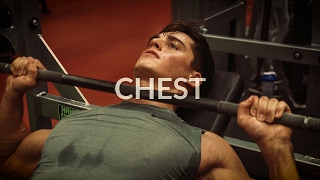 Chest Workout Theory  Pietro Boselli [upl. by Aidole]