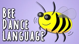 Bee Dance Language  the linguistics behind animal language [upl. by Bala]