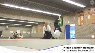 Nidan Examen Romano Enbukan 2018 [upl. by Niessuh]