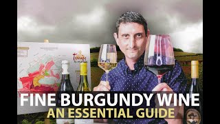 10Minute Guide to Burgundy  Fine Wines from Bourgogne Part1 [upl. by Eltsryk954]