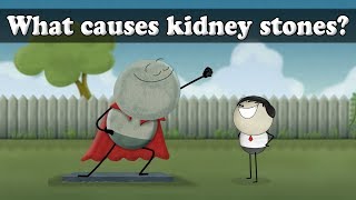 What causes kidney stones  aumsum kids science education children [upl. by Drofnas]