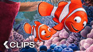 The Movie clip of finding Nemo [upl. by Lesslie209]