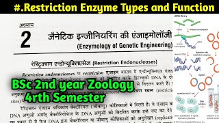 Restriction Enzyme Types and functions  BSc 2nd year Zoology fourth Semester [upl. by Carver293]