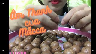 Âm Thanh Của Hạt Mắc Ca Tan Chảy Mê Ăn  VT ASMR [upl. by Cirri481]