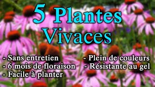 5 plantes Vivaces SANS Entretien et avec une Longue Floraison   de 6 mois [upl. by Drawe31]