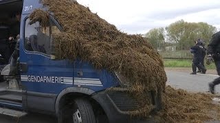 Florange les agriculteurs répandent du fumier pour interpeller François Hollande [upl. by Pearman422]