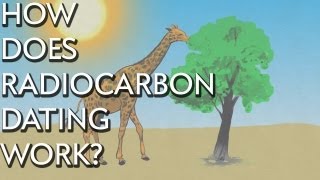 How Does Radiocarbon Dating Work  Instant Egghead 28 [upl. by Jessi200]