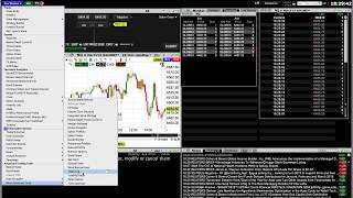 How to add color to Interactive Broker Trader Worstation TWS Level 2 and Time amp Sales [upl. by Lezlie]