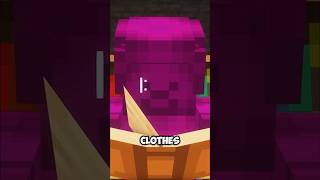 Purple Steve Facts  Minecraft Steve Saga minecraft minecraftsteve stevesaga [upl. by Stedt]