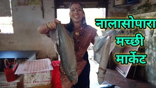 नालासोपारा मच्छी मार्केट 🐠🐟🐟🦈  nalasopara fish market [upl. by Gomar]