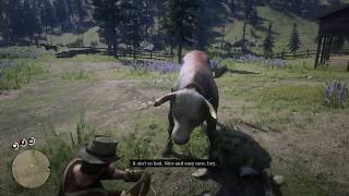 Red Dead Redemption 2 I Lassoing a Bull [upl. by Lucinda620]