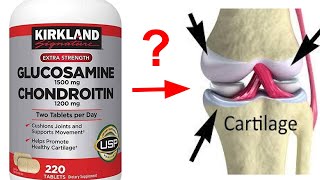 Glucosamine  Is it good for you Research and other Recommendations [upl. by Eittah106]