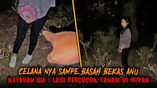 P4CARNYA GAK NG0T4K ABIS ENA ENA DI TINGGALIN SENDIRIAN DI HUTAN  KIRIM SANTET [upl. by Sigler]