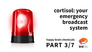 Cortisol Your Emergency Broadcast System 3 of 7  Happy Brain Chemicals [upl. by Bertelli]