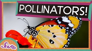 Flowers and Their Pollinators A Perfect Match  Spring is Here  SciShow Kids [upl. by Ekram]